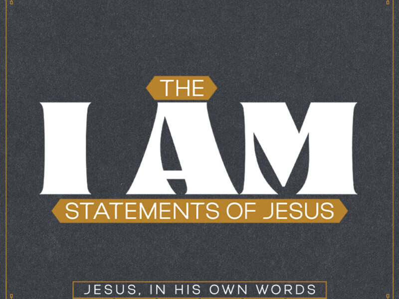 I AM: Jesus In His Own Words.