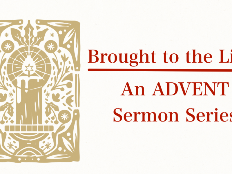 Brought to the Light